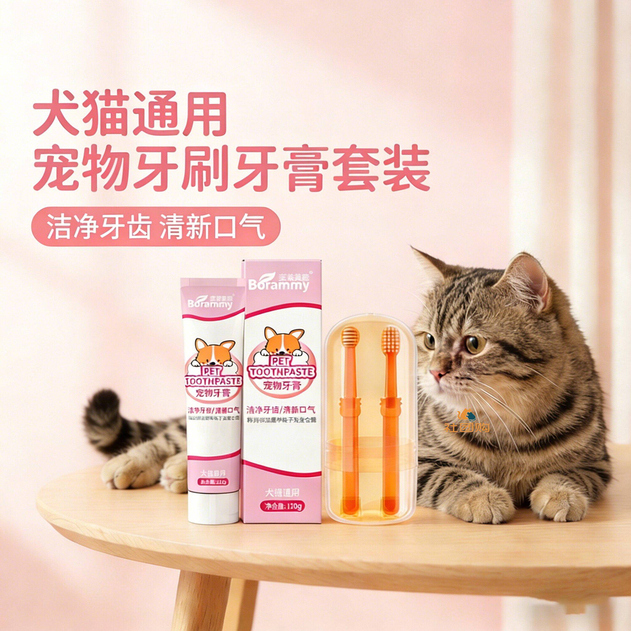狸花猫咪专用牙刷牙膏宠物刷牙神器工具口腔可食用指套洁牙清洁