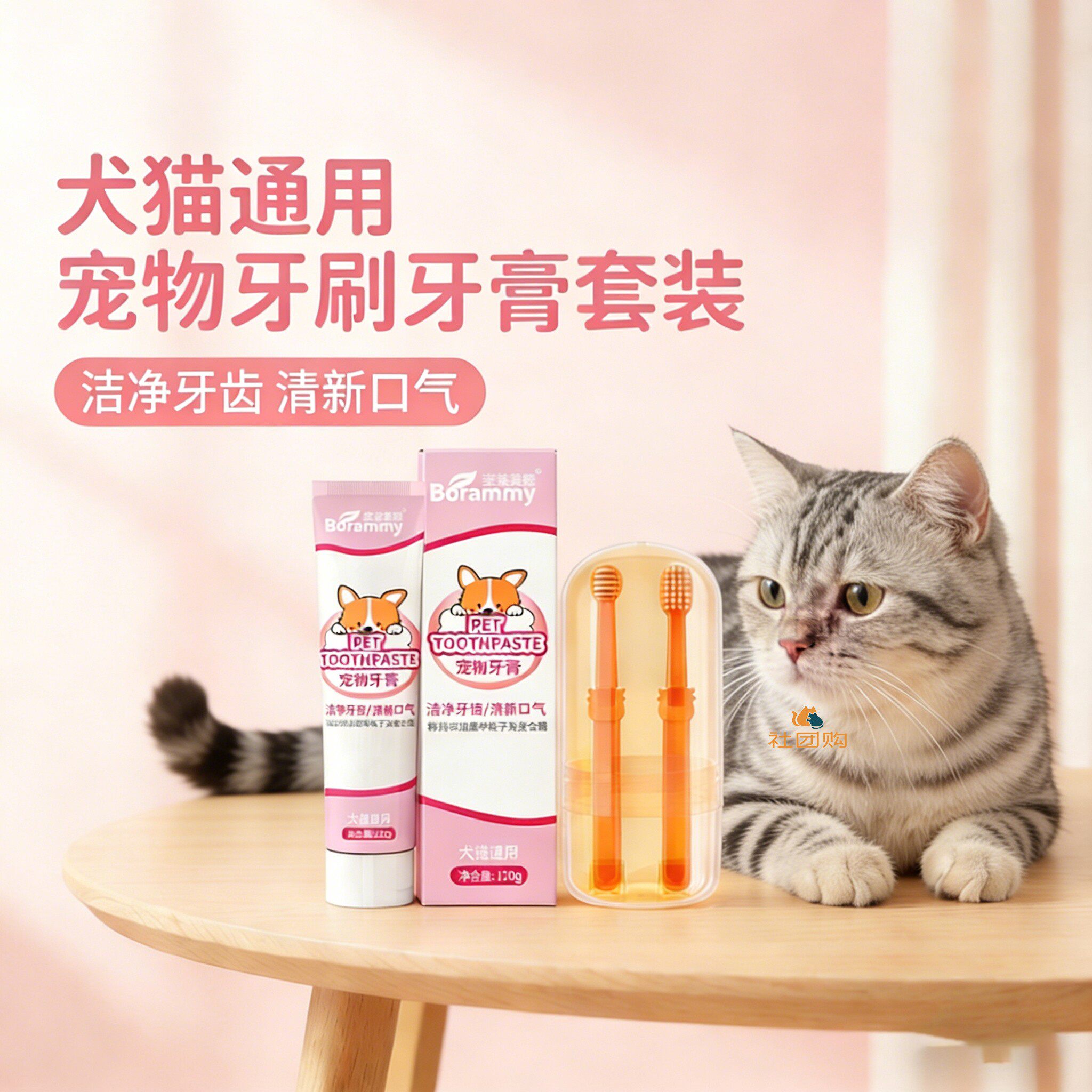 美短猫咪专用牙刷牙膏宠物刷牙神器口腔工具指套可食用洁牙清洁