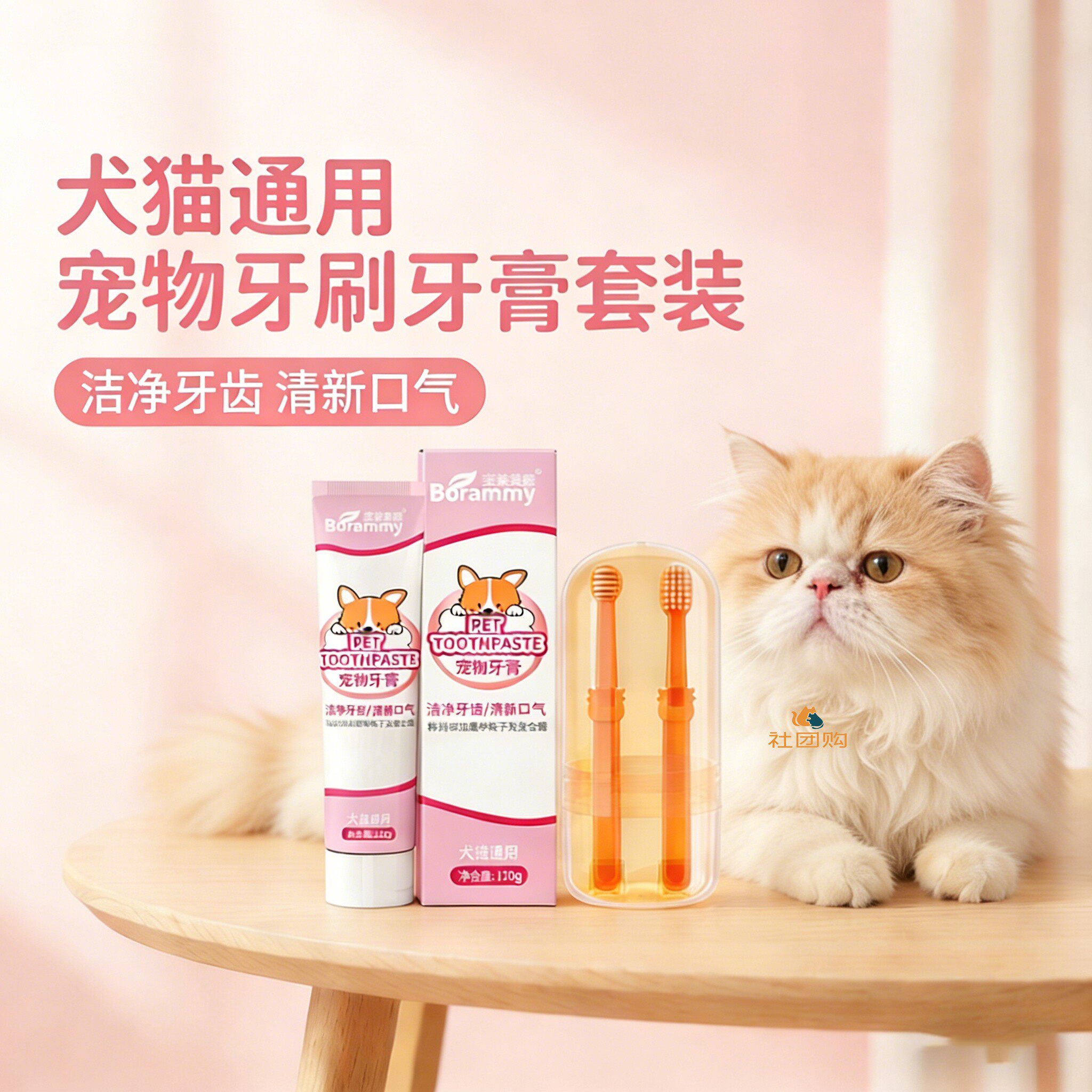 蓝猫咪专用牙刷牙膏宠物刷牙神器口腔指套工具可食用清洁洁牙