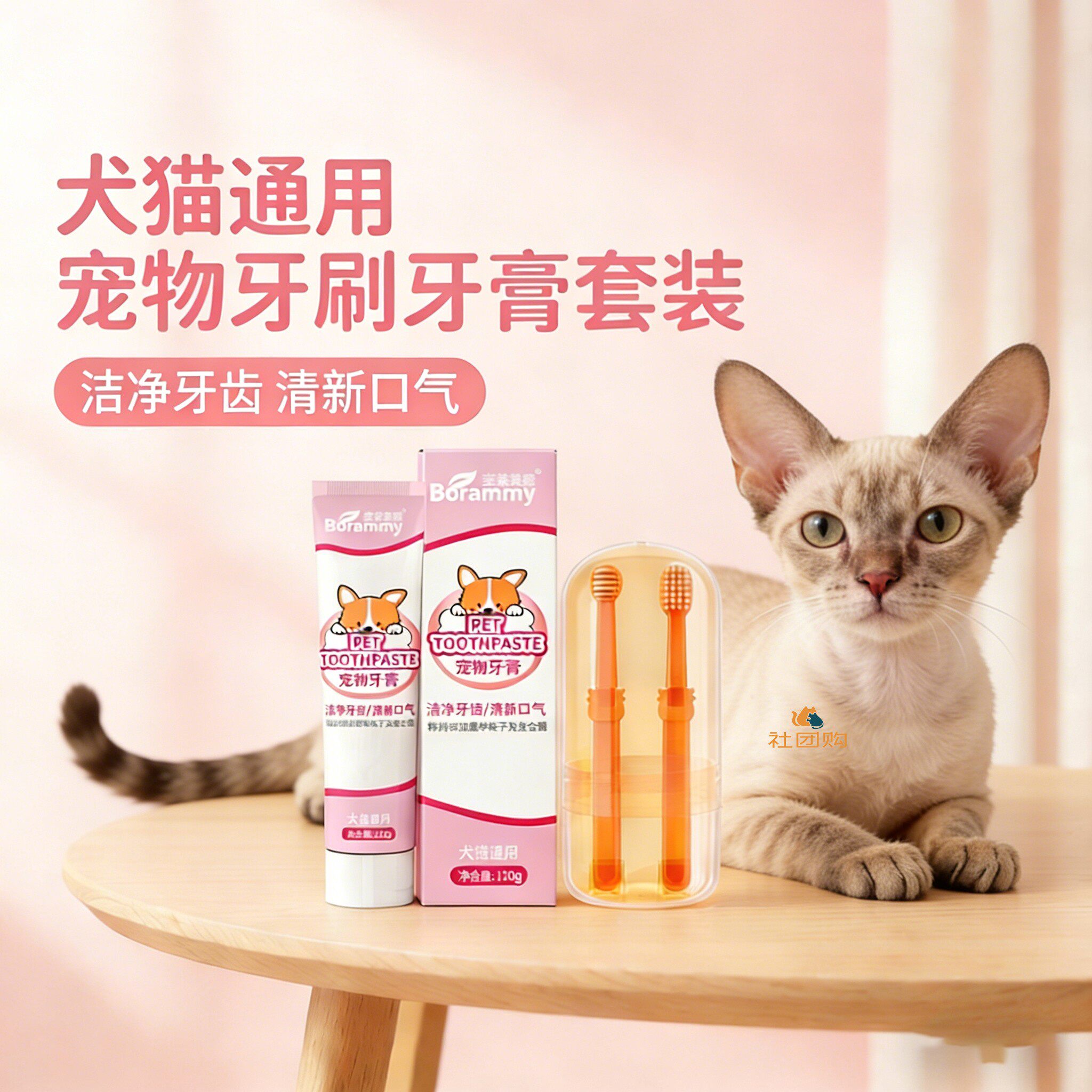 德文猫咪专用牙刷牙膏宠物刷牙神器口腔工具清洁洁牙指套可食用