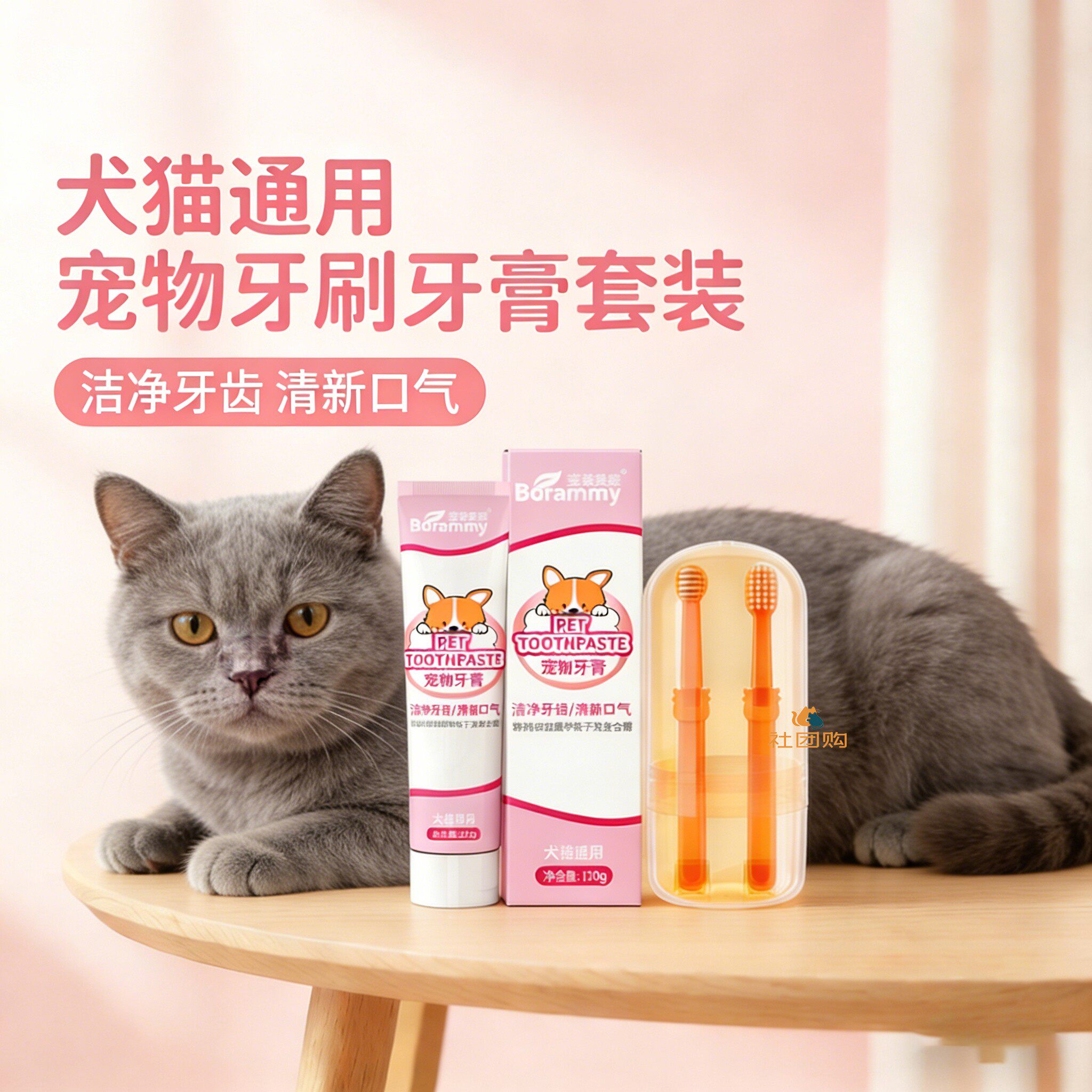猫咪专用牙刷牙膏宠物刷牙神器口腔清洁工具可食用指套洁牙
