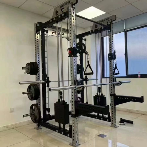 rep三合一龙门架家用飞鸟