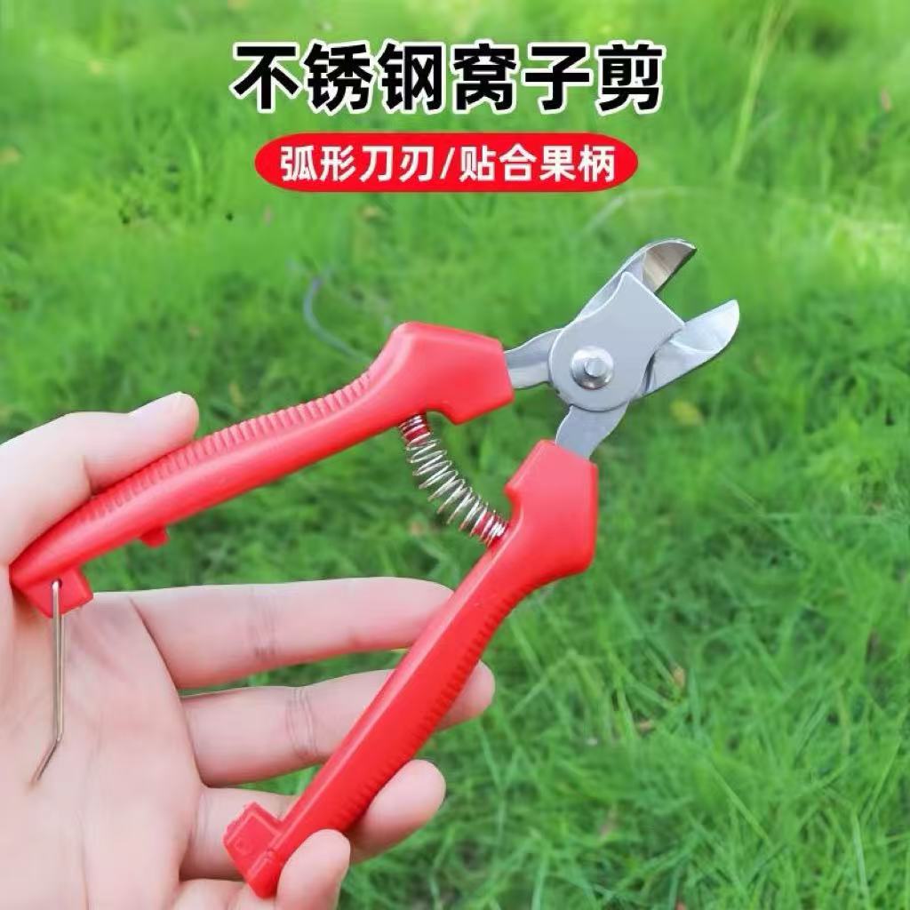 不锈钢窝子剪苹果柑橘摘果剪耐用