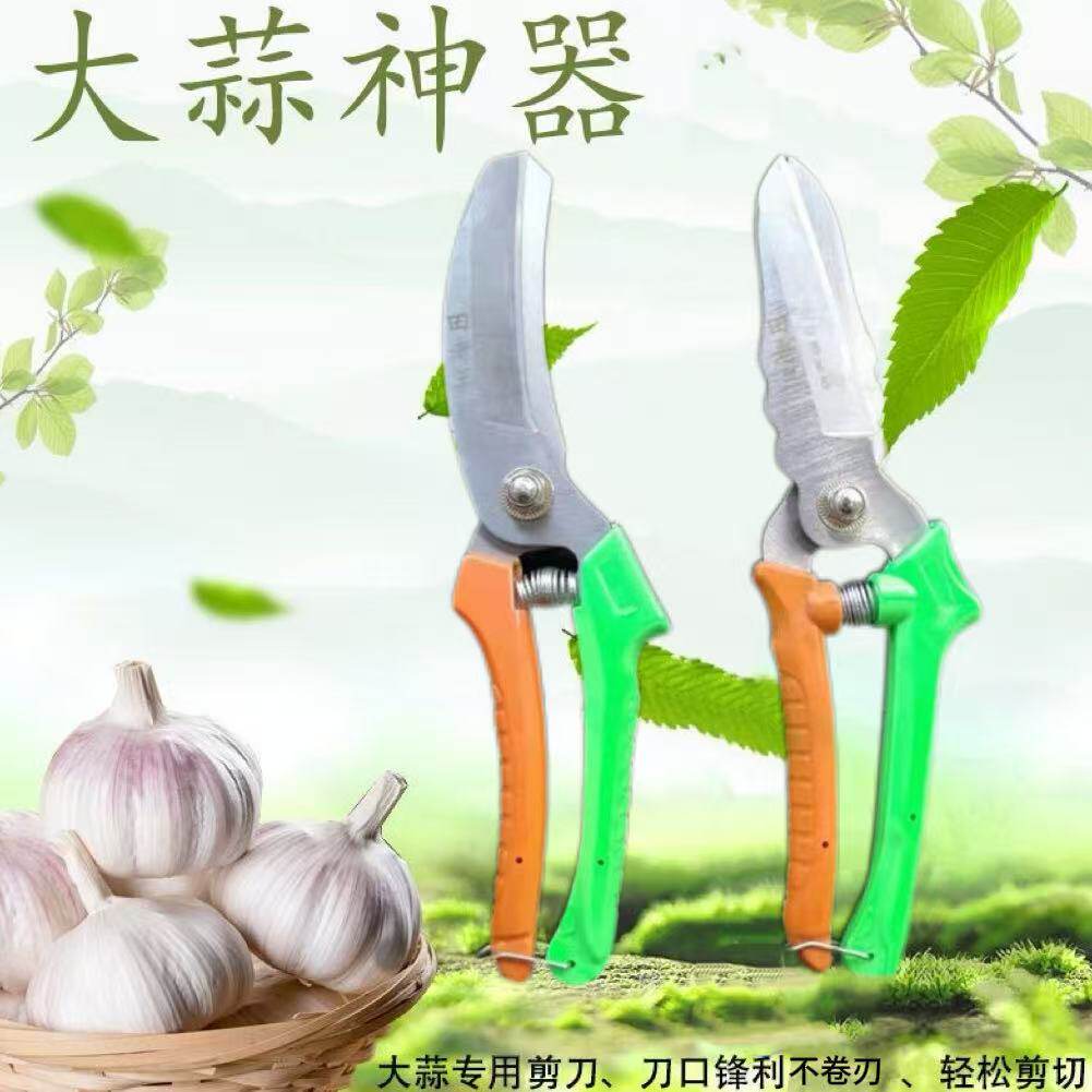 升级大蒜专用高碳钢剪刀锋利耐用