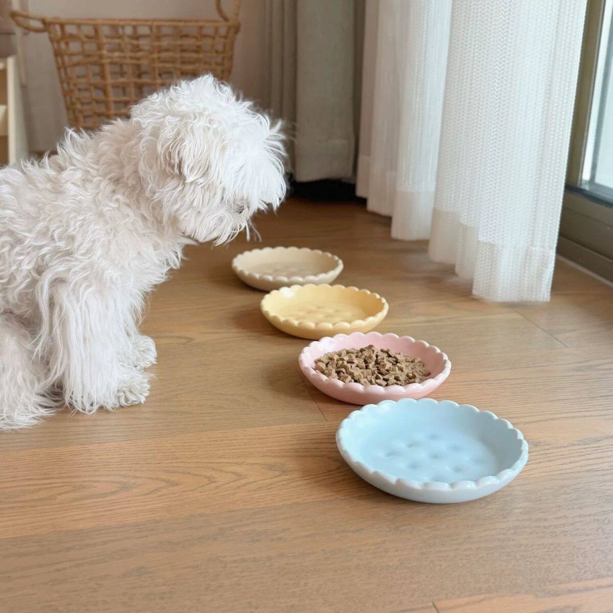 饼干宠物盘陶瓷碗零食罐头猫狗食盆防黑下巴罐头湿粮碗