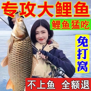 鲤鱼饵野钓通杀钓鱼鱼食综合钓饵鲤鱼专用饵钓鱼饵料黑坑鲤鱼散炮