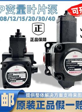新款变量叶片泵油压泵液压油泵液压泵vp30油泵vp40油泵vp20油包邮