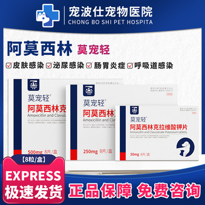 莫宠轻阿莫西林猫狗消炎片