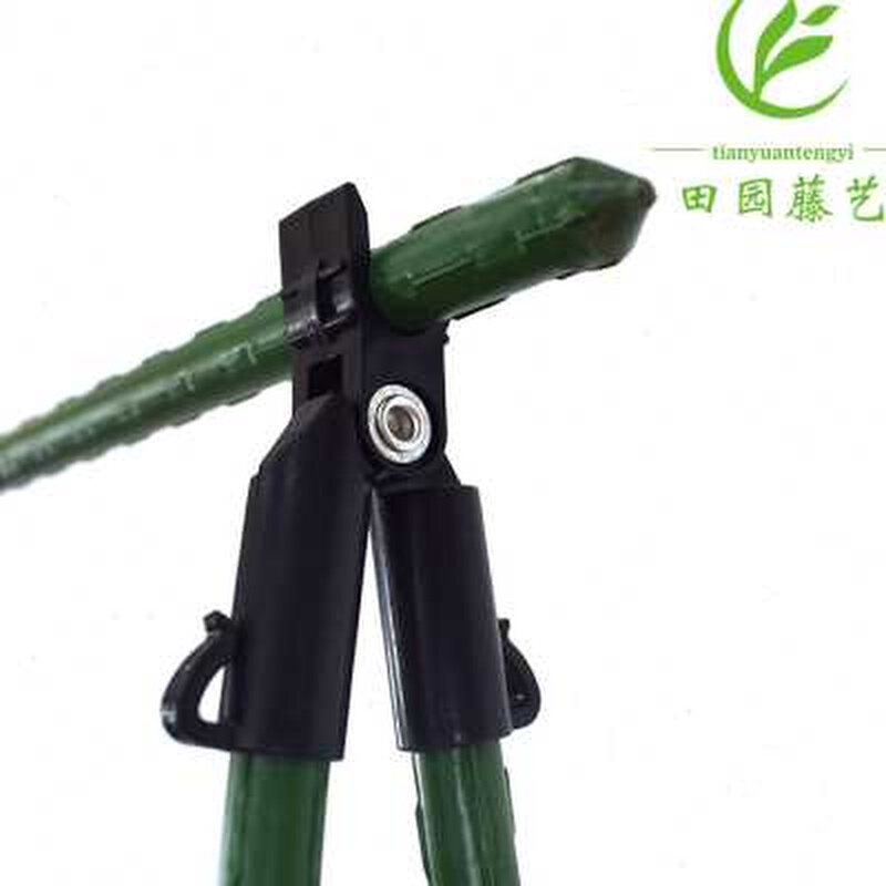 豆角黄瓜爬藤架种菜架子庭院葡萄架包塑钢管植物支架户外攀爬架子