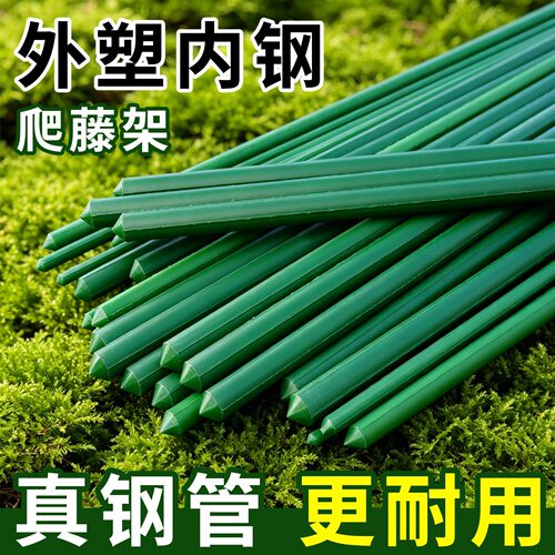 爬藤架花架包塑钢管丝瓜葡萄黄瓜豆角园艺固定支撑杆植物搭棚杆子