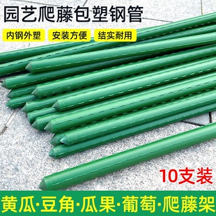 爬藤架葡萄架黃瓜豆角架種菜花支架庭院花卉植物支撐桿西紅柿架桿