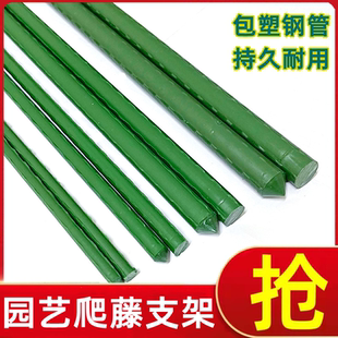 爬藤架葡萄黄瓜豆角架种菜花支架庭院园艺花卉植物支撑杆西红柿架