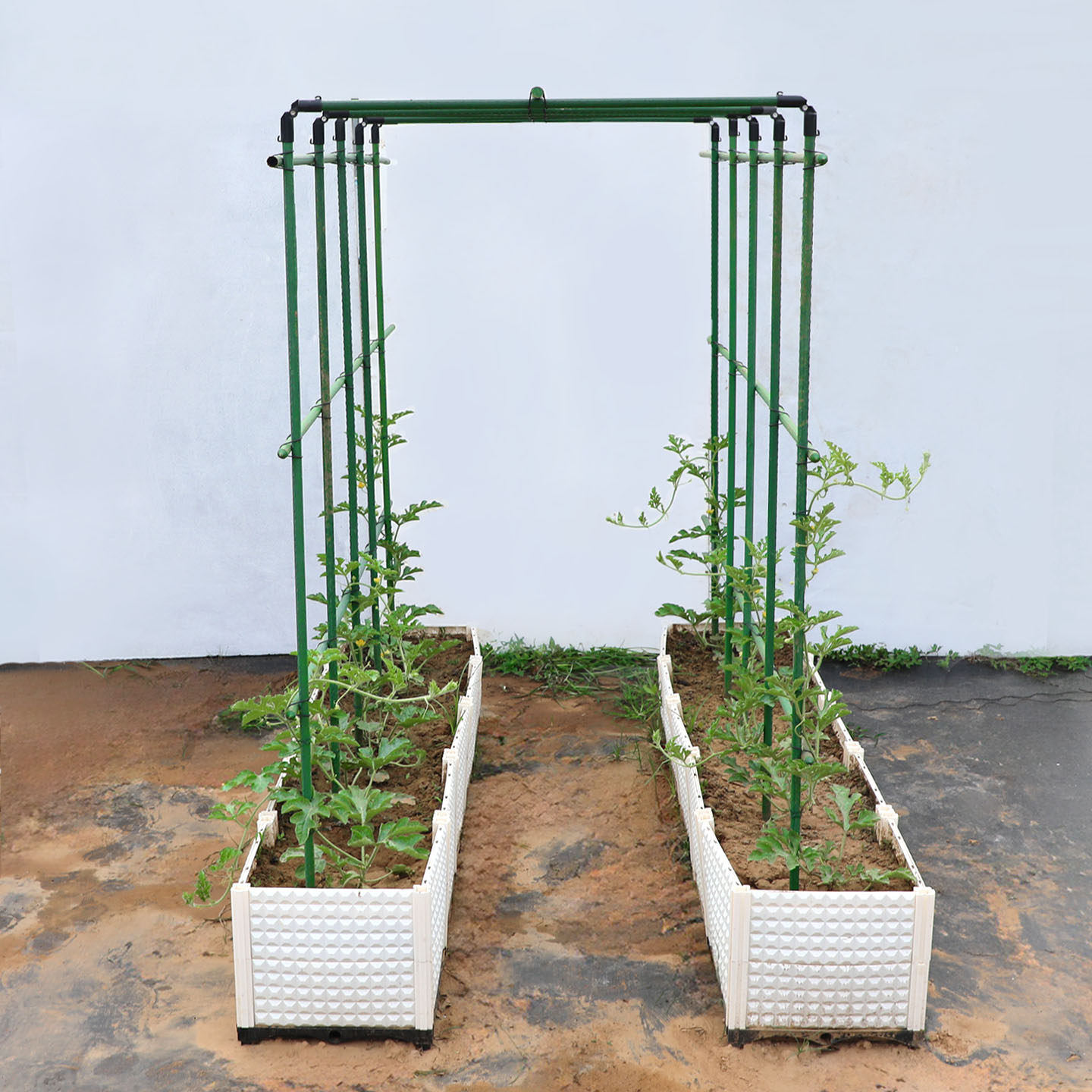 黄瓜架种菜架子豆角爬藤架庭院植物支架葡萄户外花架攀爬架子阳台