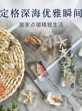 小动物滴胶树脂标本仿真高清