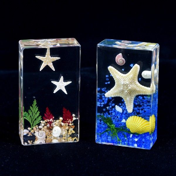 创意小摆件礼品自然认知真实海洋海星螃蟹标本树脂工艺品盲盒同款