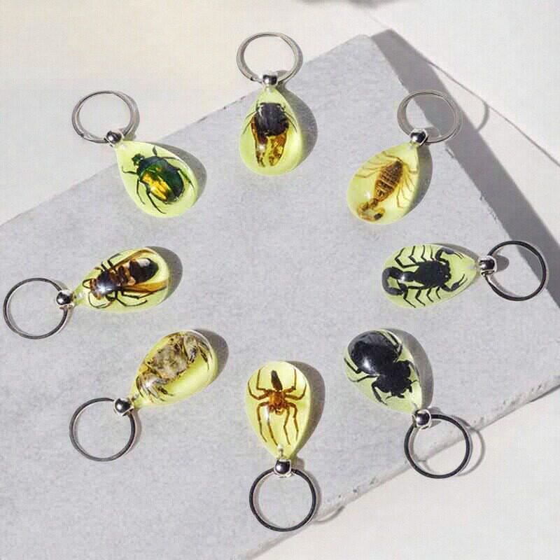 高透明树脂自然真实昆虫水滴形夜光钥匙扣挂件景区文创礼物儿童