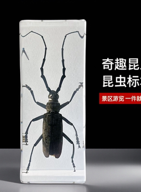 真实树脂标本滴胶动物观察景区
