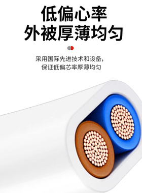 国标护套线家用纯铜RVV2芯3芯0.5-6平方电源线白色户外扁平行软线