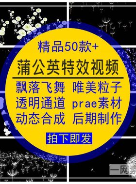 蒲公英特效唯美飘落飞舞粒子prae带透明通道动态后期制作视频素材