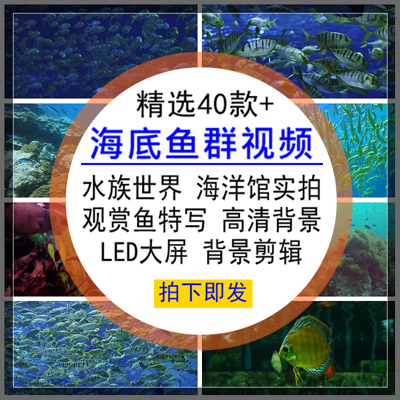 海底鱼群视频水族海洋馆特写高清设计背景后期合成剪辑素材无水印