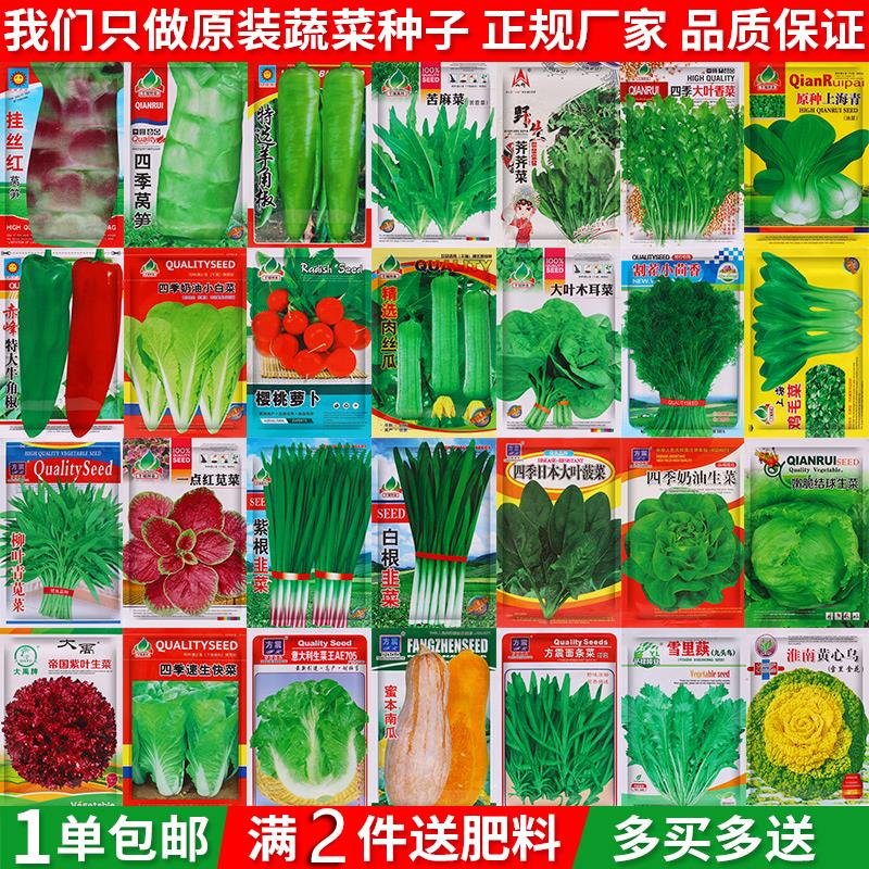 蔬菜种子四季播种阳台农家盆栽香菜菠菜生菜韭菜小葱草莓籽孑大全