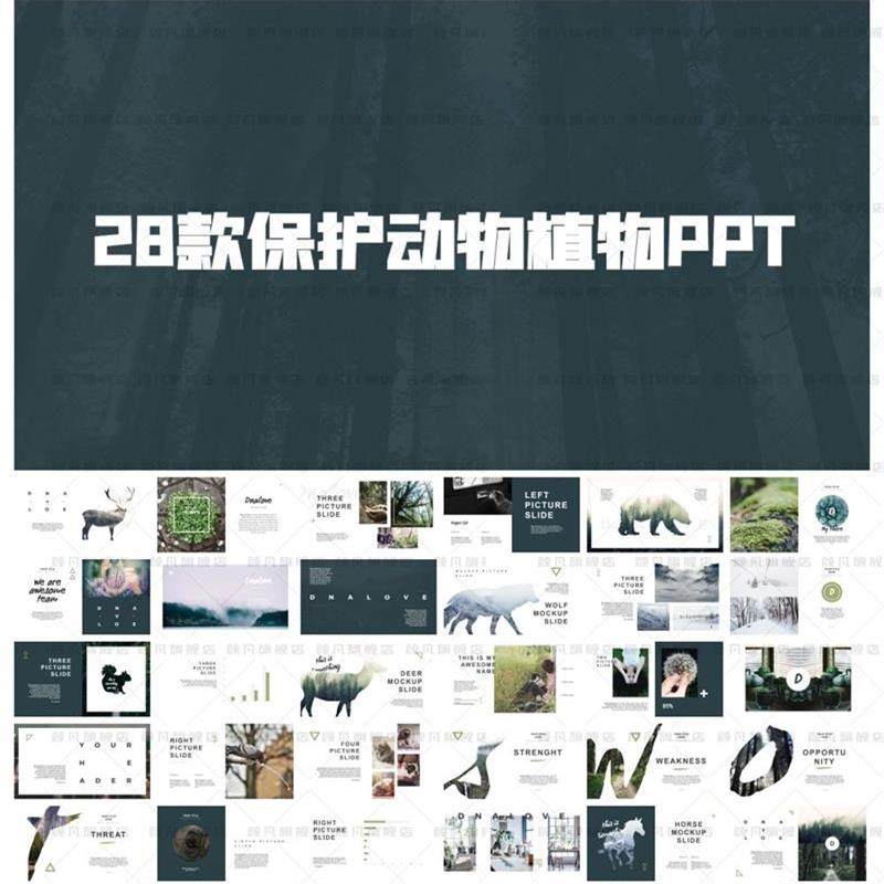 保护动物植物ppt世界动物日关爱生命人与自然绿色环保生态ppt模板