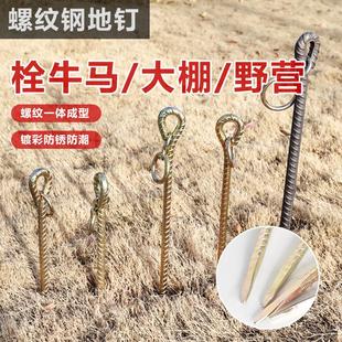 加长加粗栓牛羊地桩狗钢筋地钉帐篷大棚地锚宠物畜牧养殖插地橛子