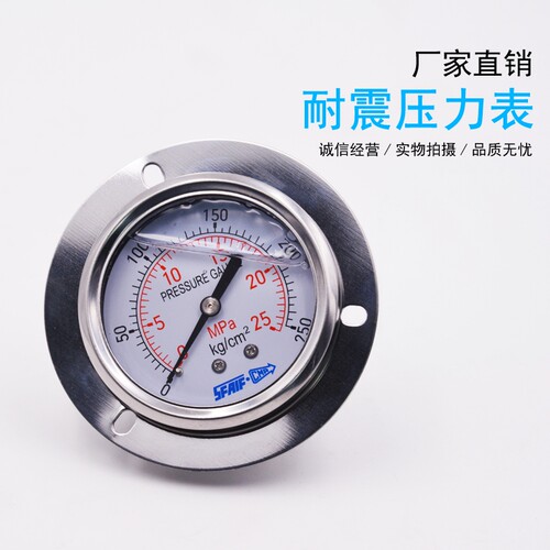 耐震压力表轴向带边yn60zt