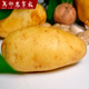 美邻惠享家新鲜土豆现挖新鲜黄心土豆当季 蔬菜马铃薯洋芋SX016
