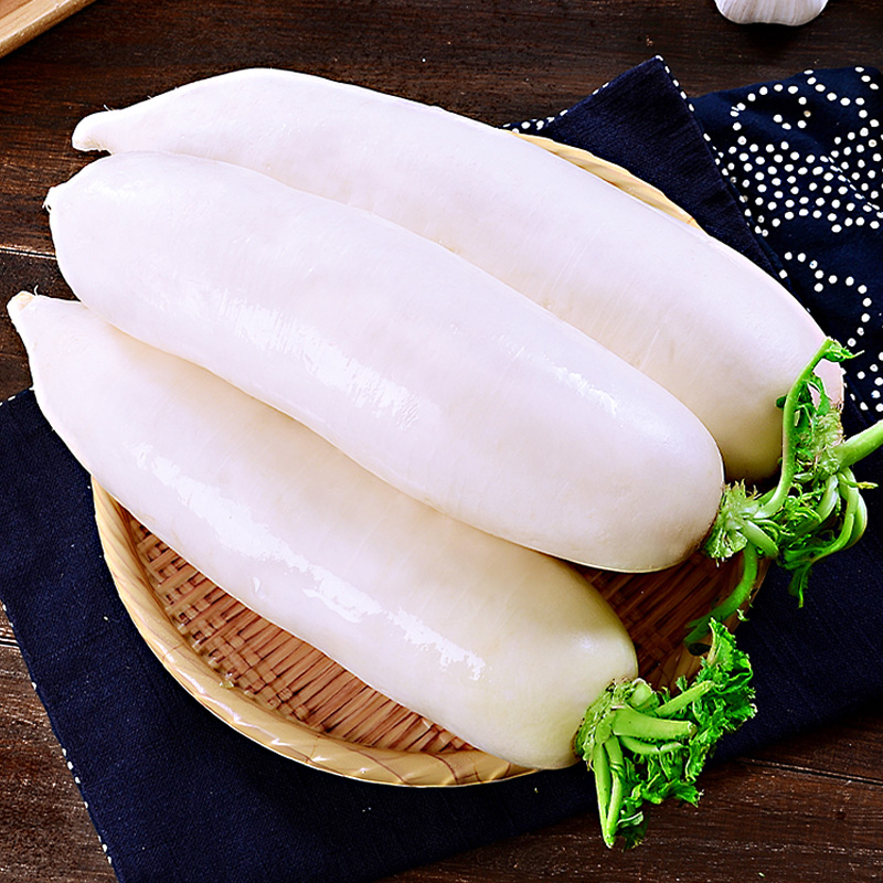 山东新鲜白萝卜菜萝卜现拔现发