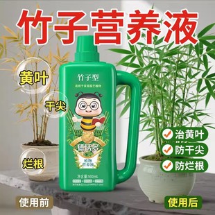 竹子专用营养液肥料治叶子发黄盆栽水培文竹紫竹观音竹内门竹通用