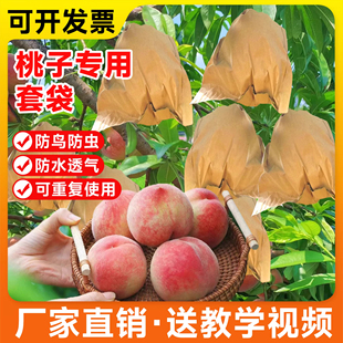 桃子套袋专用袋水果套袋防鸟防虫神器水蜜桃黄桃梨子专用网袋纸袋
