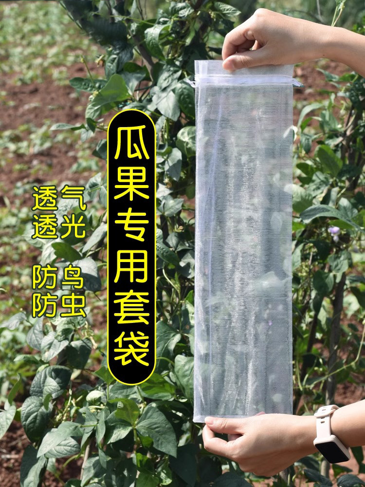 丝瓜黄瓜苦瓜套袋纱袋防虫专用网袋水果葡萄番茄枇杷瓜果保护袋子