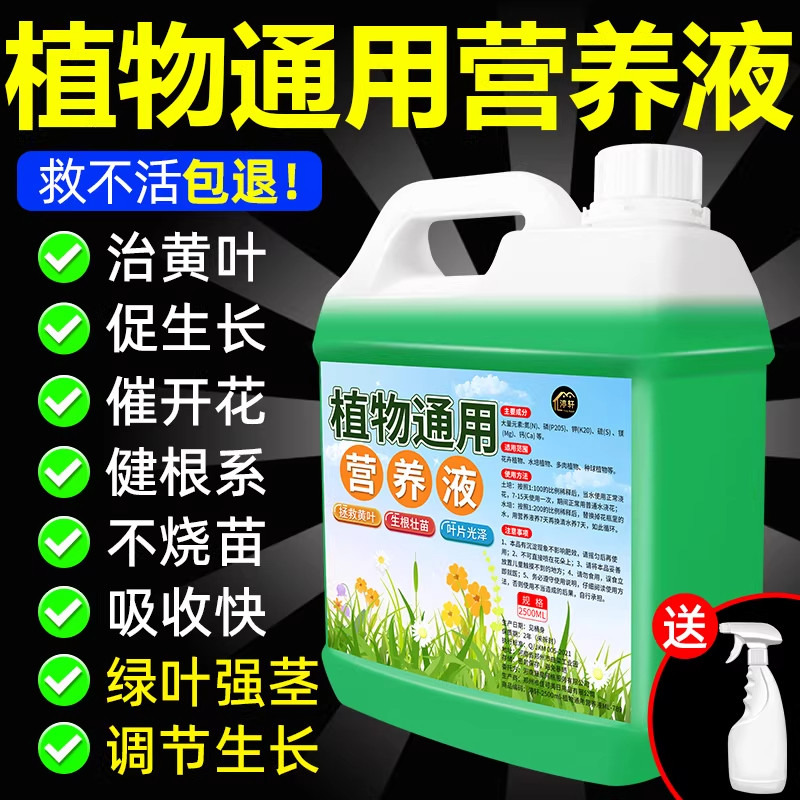 营养液植物通用型室内盆栽黄金葛富贵竹发财树多肉水培养花卉绿植