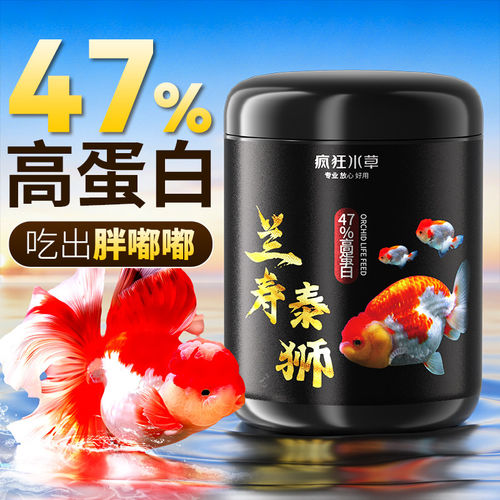 兰寿鱼饲料泰狮金鱼专用鱼饲料高蛋白缓沉型鱼食中小颗粒鱼粮通用