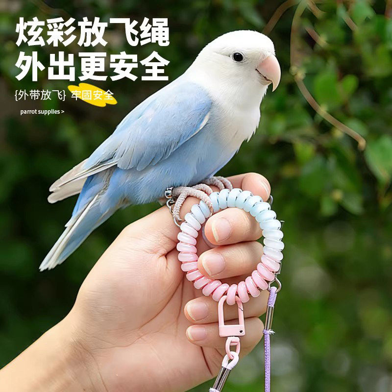 鹦鹉放飞绳不伤脚超轻训练绳虎皮玄凤牡丹脚环脚链脖套遛鸟飞行绳