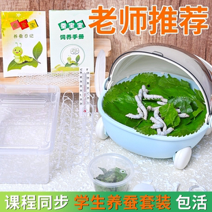 天然蚕宝宝学生养蚕套装工具蚕卵喂蚕幼虫饲养箱专用盒豪华太空舱