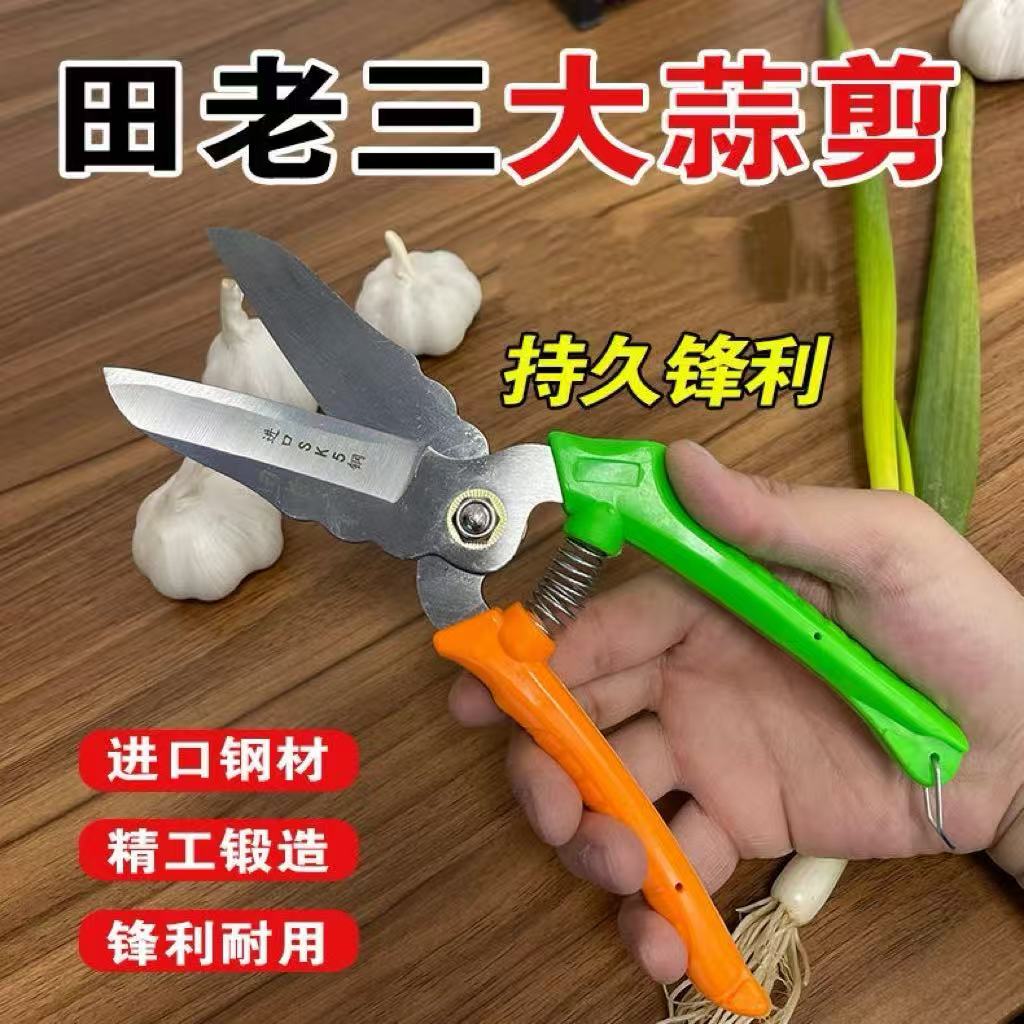 升级大蒜专用高碳钢剪刀高品质图片