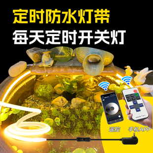 鱼缸灯带防水定时遥控古法养鱼专用水缸鱼池泡水低压led氛围灯条