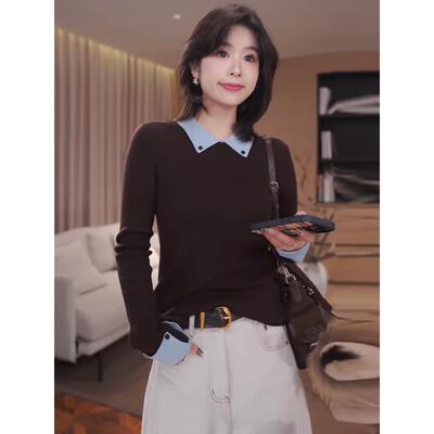 JOYIASS文艺风洋气减龄长袖针织衫女2025年秋冬新款撞色高级感pol