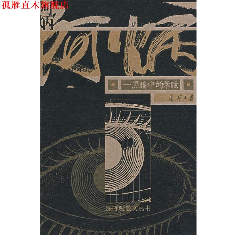 【正版书】 阿炳:黑暗中的晕眩 庞培　著 中国文联出版社