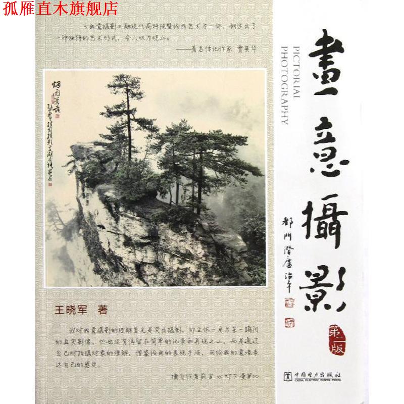 【正版书】 画意摄影 王晓军 中国电力出版社