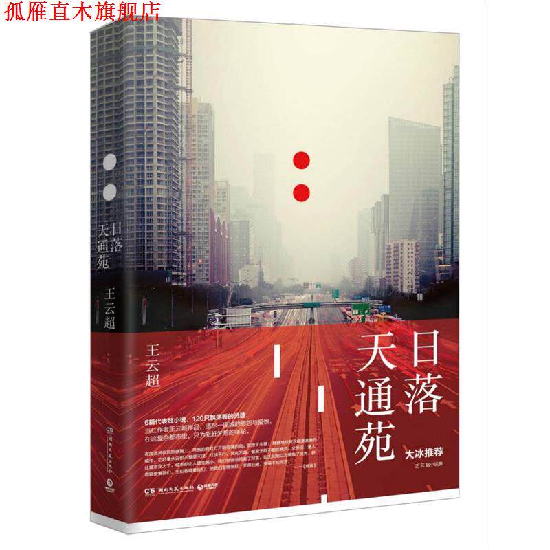 【正版书】 日落天通苑:大冰推荐,当红作者王云超新作 王云超 湖南文艺出版社