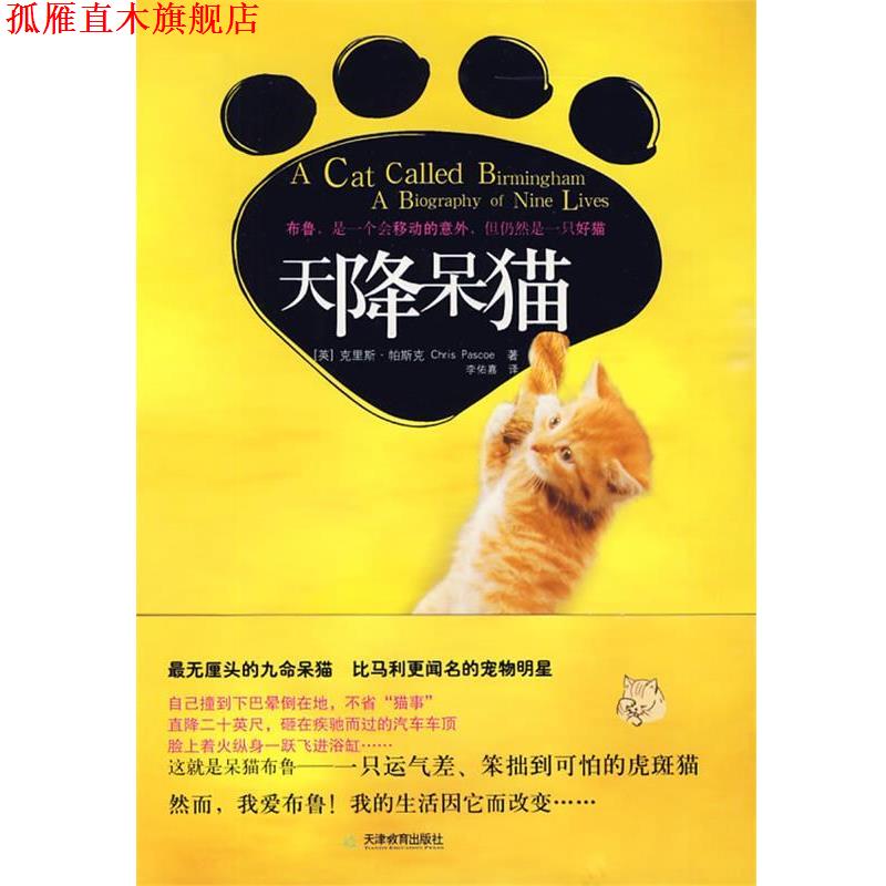 【正版书】 天降呆猫 (英)帕斯克　著,李佑嘉　译 天津教育出版社