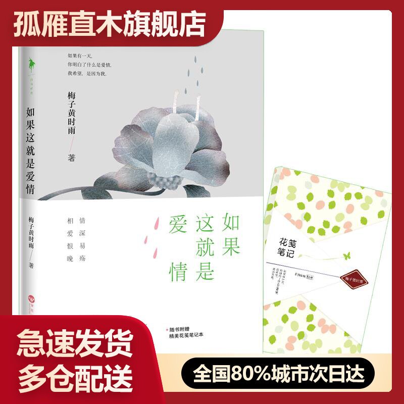 【正版】如果这就是爱情梅子黄时雨
