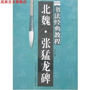 【正版书】 北魏张猛龙碑字帖 书法经典教程系列 苏杭 四川美术出版社
