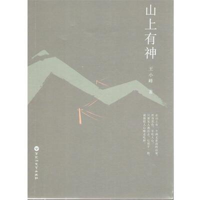 【正版书】 山上有神 王小峰 著 百花洲文艺出版社