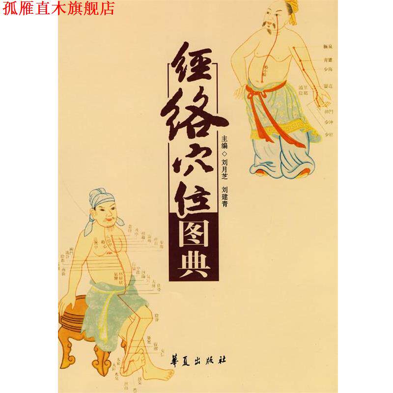 【正版书】 经络穴位图典 刘月芝,刘建青 主编 华夏出版社