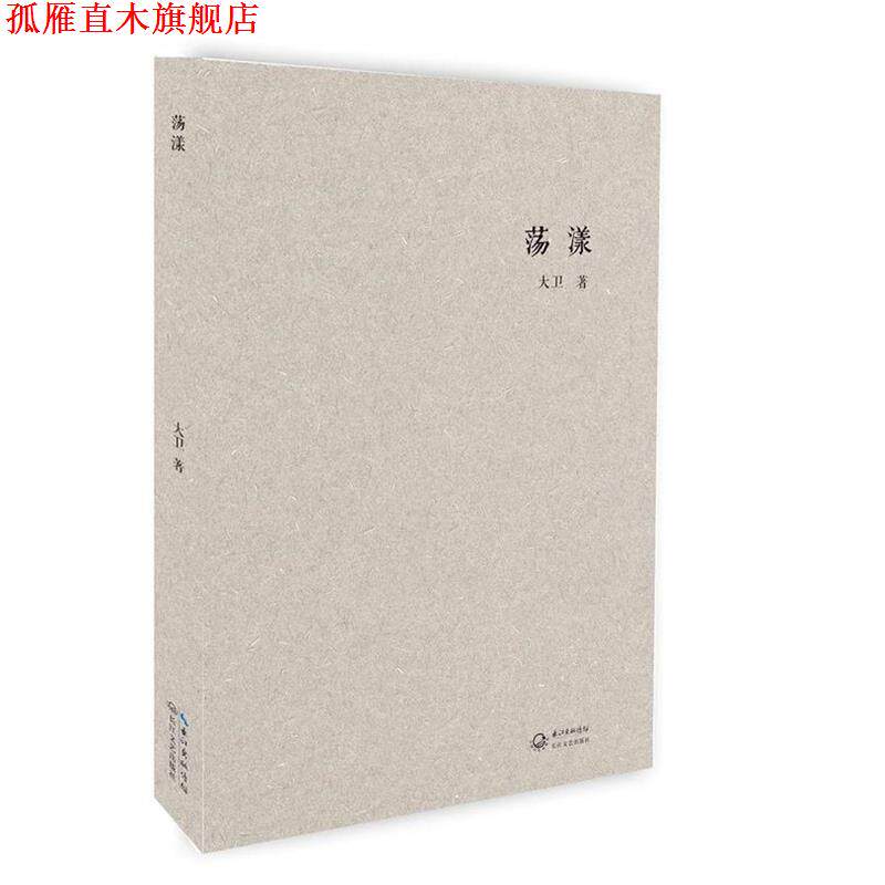 【正版书】 荡漾 大卫 长江文艺出版社