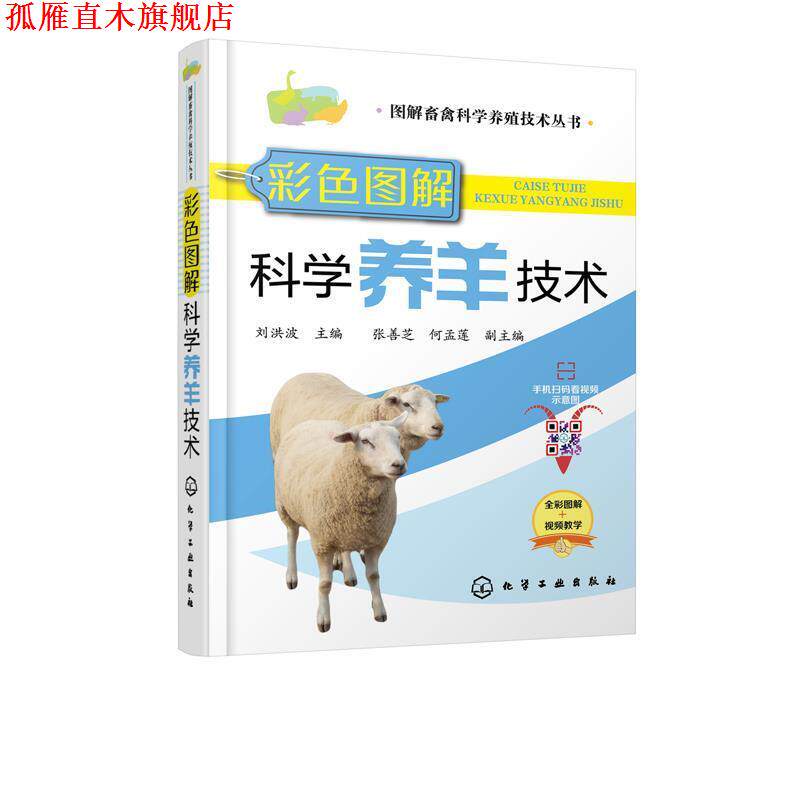 【正版书】 彩色图解科学养羊技术 刘洪波 著 化学工业出版社有限公司